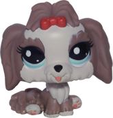 #2130 Lhasa Apso